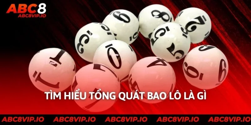 Tìm hiểu tổng quát bao lô là gì